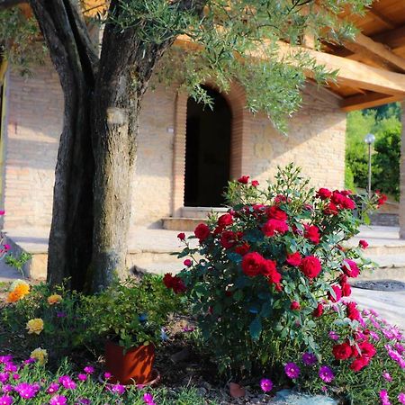 Agriturismo La Tana Città di Castello Exteriér fotografie
