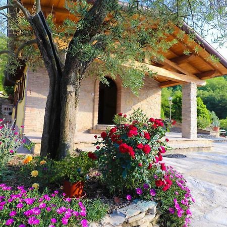 Agriturismo La Tana Città di Castello Exteriér fotografie