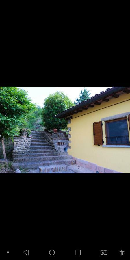 Agriturismo La Tana Città di Castello Exteriér fotografie