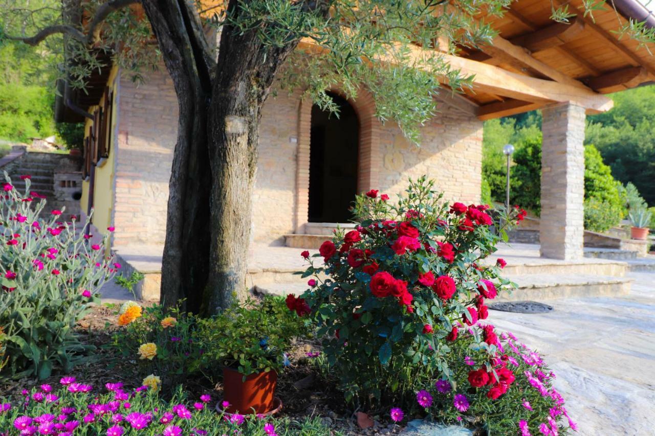 Agriturismo La Tana Città di Castello Exteriér fotografie