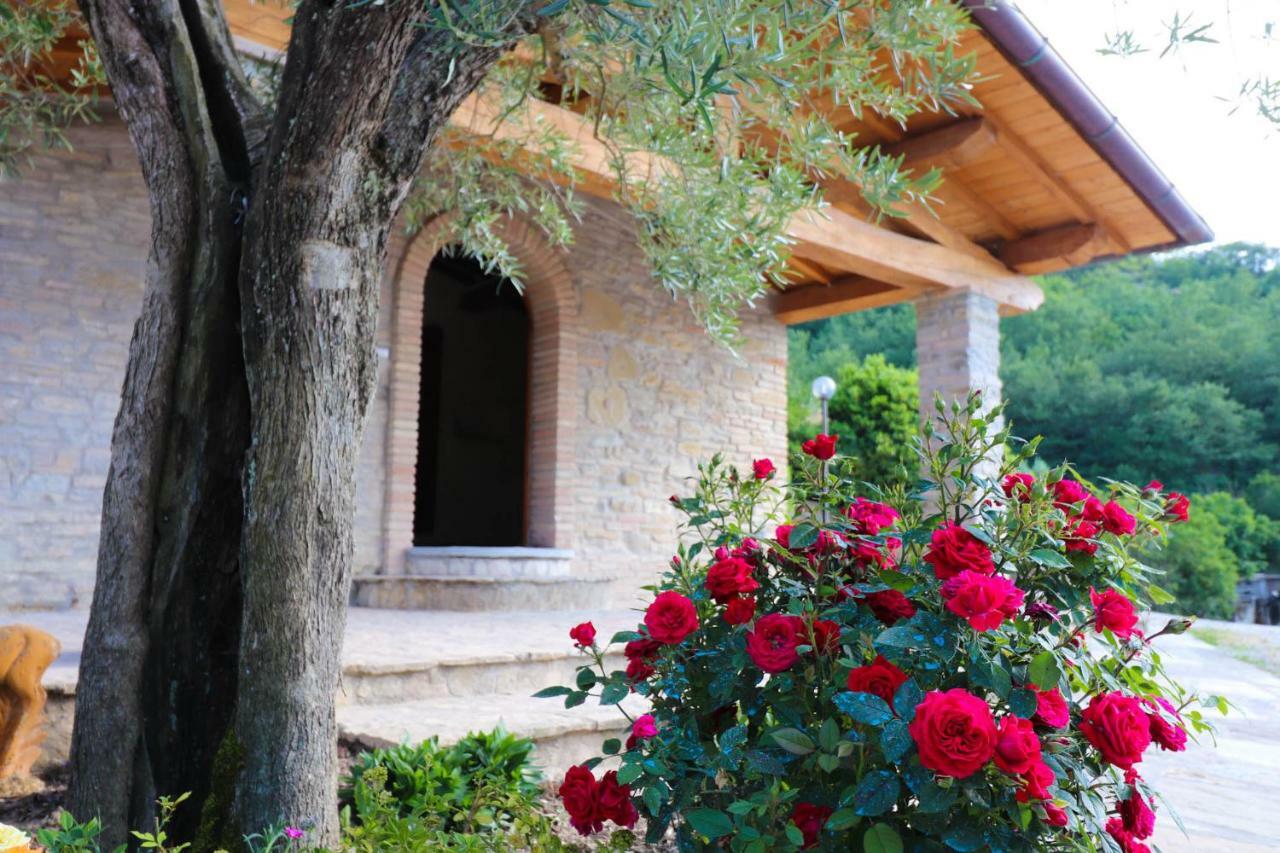 Agriturismo La Tana Città di Castello Exteriér fotografie