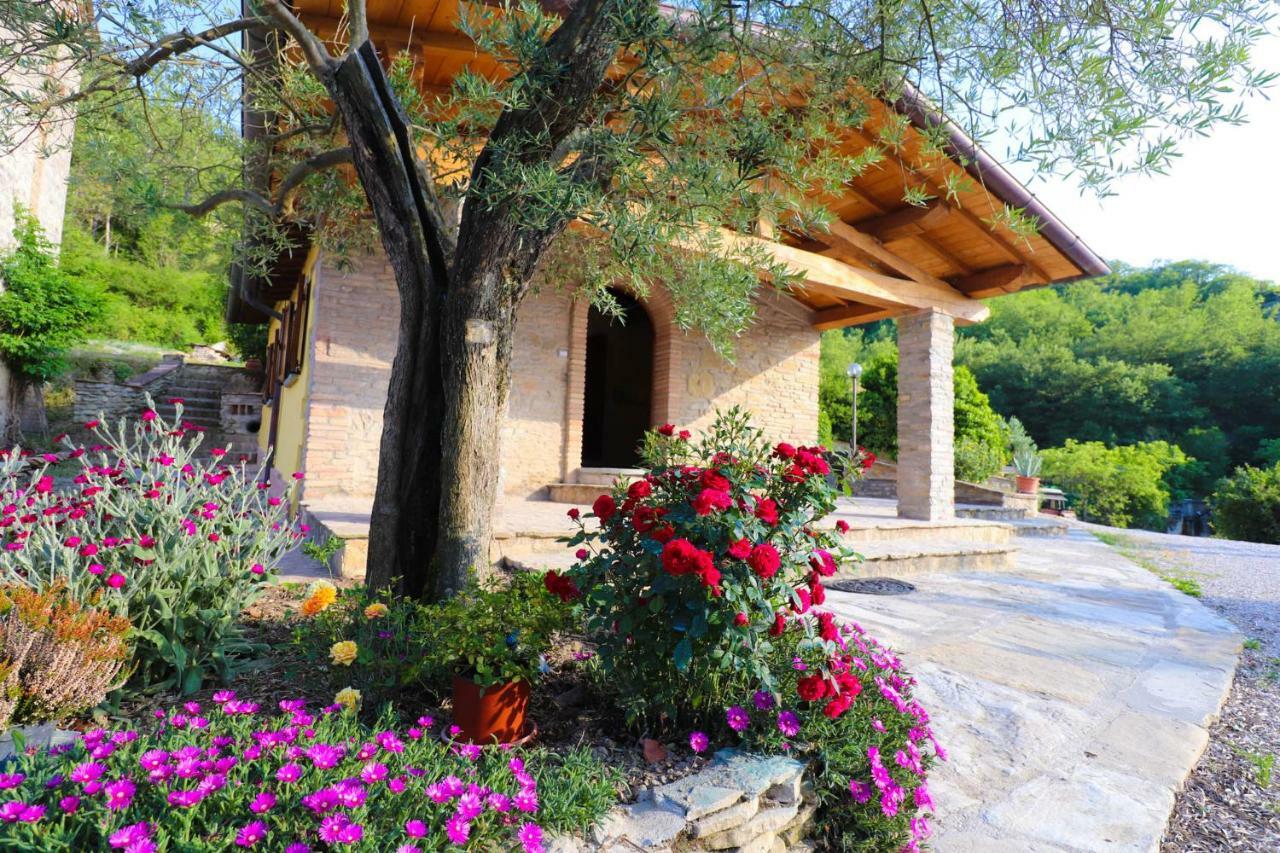 Agriturismo La Tana Città di Castello Exteriér fotografie